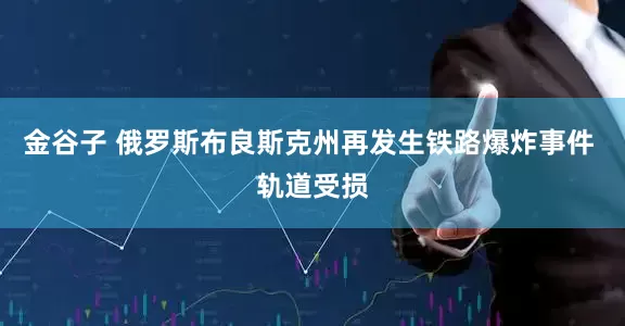 金谷子 俄罗斯布良斯克州再发生铁路爆炸事件 轨道受损